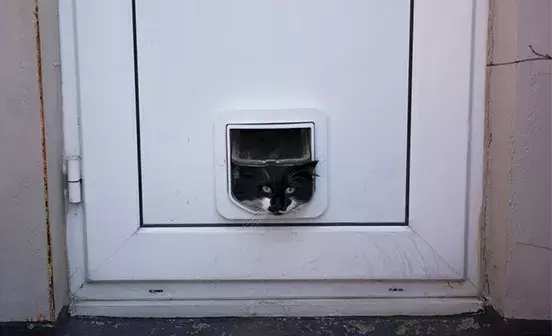 Covering up old cat sales flap